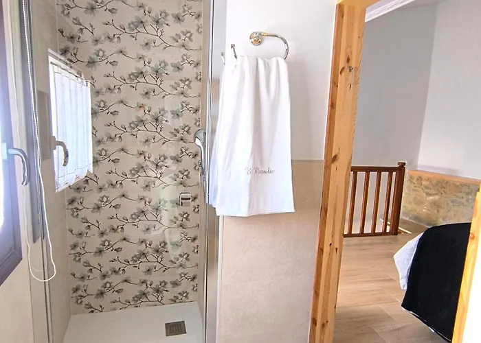 公寓 Magnolia Santiago (Cantabria)